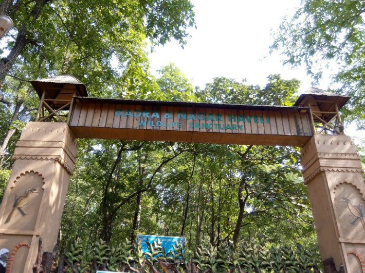 Dadra and Nagar Haveli Wildlife Sanctuary, Dadra and Nagar Haveli, Dadra and Nagar Haveli - Vushii.com Dadra and Nagar Haveli Wildlife Sanctuary, Dadra and Nagar Haveli, Dadra and Nagar Haveli - Vushii.com